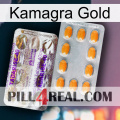 Kamagra Gold new12